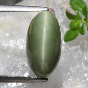 Quarzo Occhio di Gatto Verde naturale da 4.04 ct, Taglio ovale, Opaco