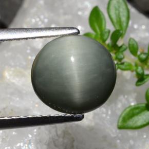 Quarzo Occhio di Gatto Grigio medio naturale da 2.83 ct, Taglio ovale, Opaco