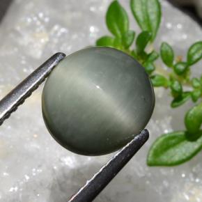 Quarzo Occhio di Gatto Grigio medio naturale da 2.83 ct, Taglio ovale, Opaco