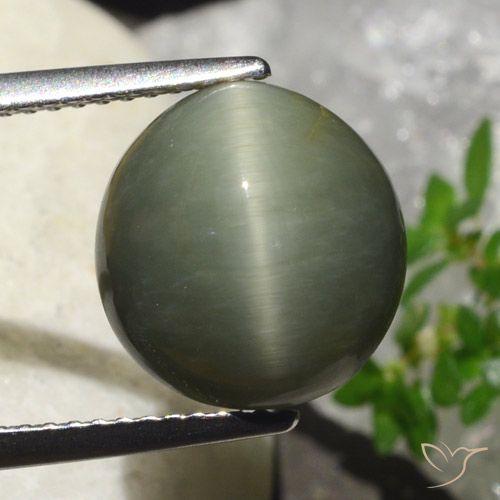 6.23ct Naturale Verde caldo Quarzo effetto occhio di gatto, Ovale, Opaco