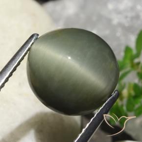 Quarzo Occhio di Gatto Verde caldo naturale da 6.23 ct, Ovale, Opaco