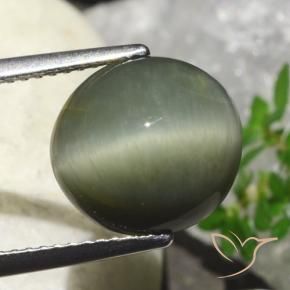 Quarzo Occhio di Gatto Verde caldo naturale da 6.23 ct, Ovale, Opaco