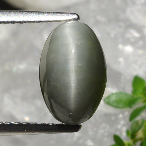 Quarzo Occhio di Gatto Grigio medio naturale da 2.99 ct, Taglio ovale, Opaco
