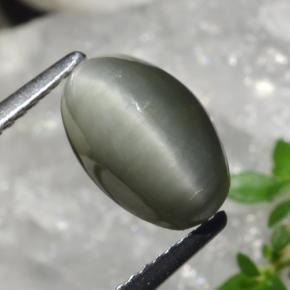 Quarzo Occhio di Gatto Grigio medio naturale da 2.99 ct, Taglio ovale, Opaco