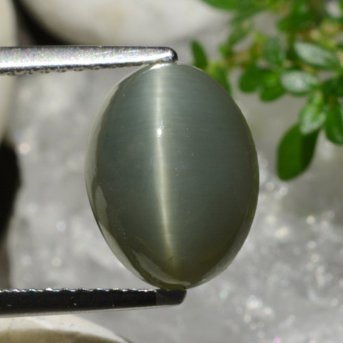 Quarzo Occhio di Gatto grigio verdastro naturale da 4.96 ct, Taglio ovale, Opaco
