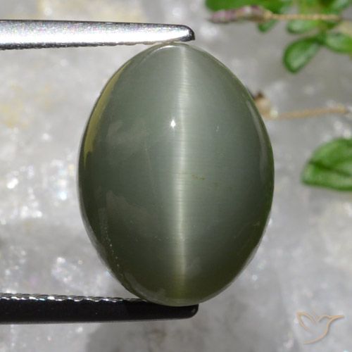 6.37ct Naturale grigio verdastro Quarzo effetto occhio di gatto, Ovale, Opaco