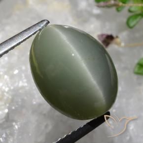 Quarzo Occhio di Gatto grigio verdastro naturale da 6.37 ct, Ovale, Opaco