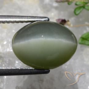 Quarzo Occhio di Gatto grigio verdastro naturale da 6.37 ct, Ovale, Opaco