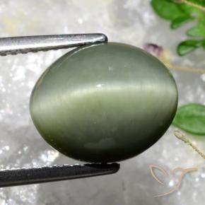 Quarzo Occhio di Gatto Verde muschio grigiastro naturale da 5.84 ct, Ovale, Opaco