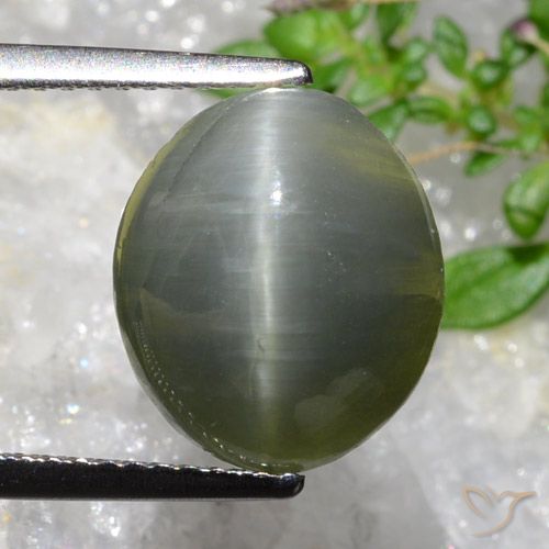 5.35ct Naturale grigio verdastro Quarzo effetto occhio di gatto, Ovale, Opaco
