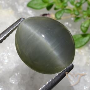 Quarzo Occhio di Gatto grigio verdastro naturale da 5.35 ct, Ovale, Opaco