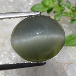 Quarzo Occhio di Gatto grigio verdastro naturale da 5.35 ct, Ovale, Opaco