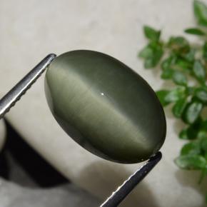 Quarzo Occhio di Gatto Verde terroso naturale da 6.44 ct, Taglio ovale, Opaco