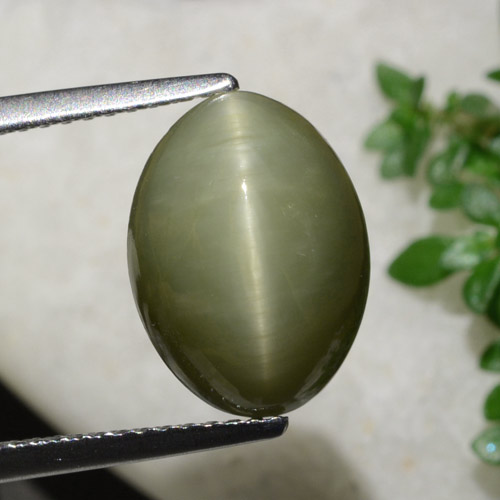 Quarzo occhio di gatto verde caldo naturale da 6,21 ct, taglio ovale, opaco