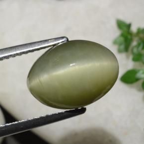 Quarzo occhio di gatto verde caldo naturale da 6,21 ct, taglio ovale, opaco