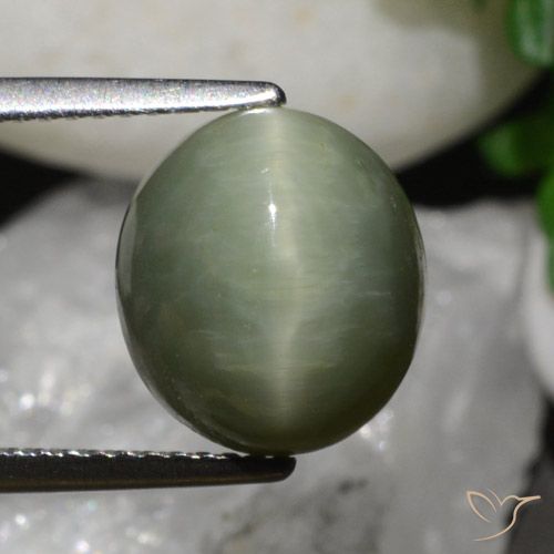 6.79ct Naturale Verde terroso Quarzo effetto occhio di gatto, Ovale, Opaco