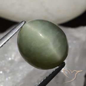 Quarzo Occhio di Gatto Verde terroso naturale da 6.79 ct, Ovale, Opaco