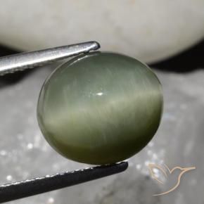 Quarzo Occhio di Gatto Verde terroso naturale da 6.79 ct, Ovale, Opaco