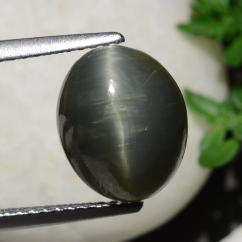 Quarzo Occhio di Gatto Grigio acciaio naturale da 5.40 ct, Taglio ovale, Opaco