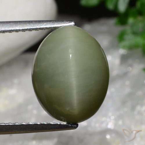 6.34ct Naturale Army Green Quarzo effetto occhio di gatto, Ovale, Opaco