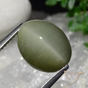 Quarzo Occhio di Gatto Army Green naturale da 6.34 ct, Ovale, Opaco