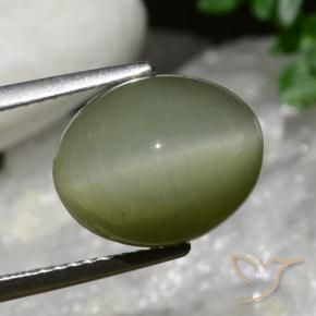 Quarzo Occhio di Gatto Army Green naturale da 6.34 ct, Ovale, Opaco