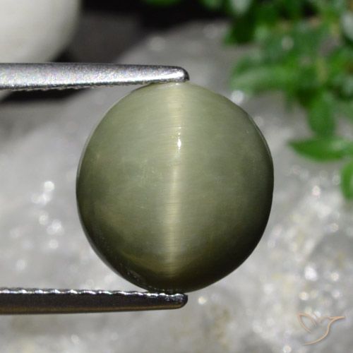 5.58ct Naturale Army Green Quarzo effetto occhio di gatto, Ovale, Opaco