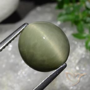 Quarzo Occhio di Gatto Army Green naturale da 5.58 ct, Ovale, Opaco