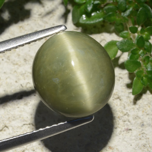 Quarzo Occhio di Gatto Verde caldo naturale da 6.19 ct, Taglio ovale, Opaco