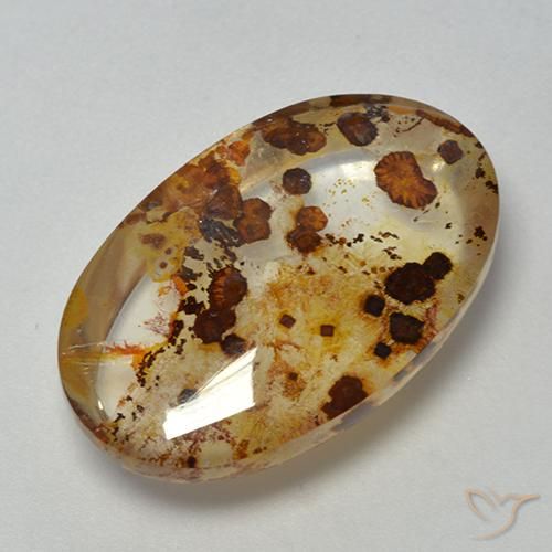 Quarzo con marcasite Multicolore naturale da 16.40 ct, Ovale, Trasparente