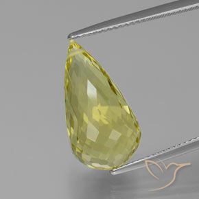 12.58ct Naturale Giallo chiaro Quarzo, Taglio briolette, VVS