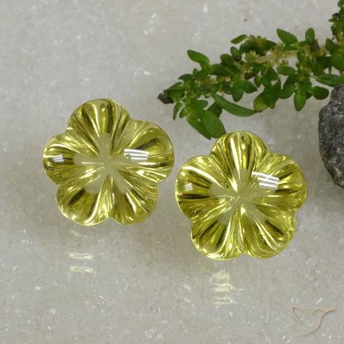 18.82ctw Naturale Giallo medio Quarzo, Taglio a fiore, Trasparente