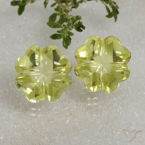 Gemme di Quarzo Limone giallo naturale da 19.38 ct, Taglio a fiore, Trasparente