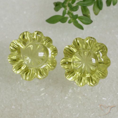 15.60ctw Naturale Giallo medio Quarzo, Taglio a fiore, Trasparente