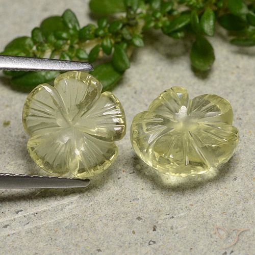 5.58ctw Naturale Giallo medio Quarzo, Taglio a fiore, Trasparente