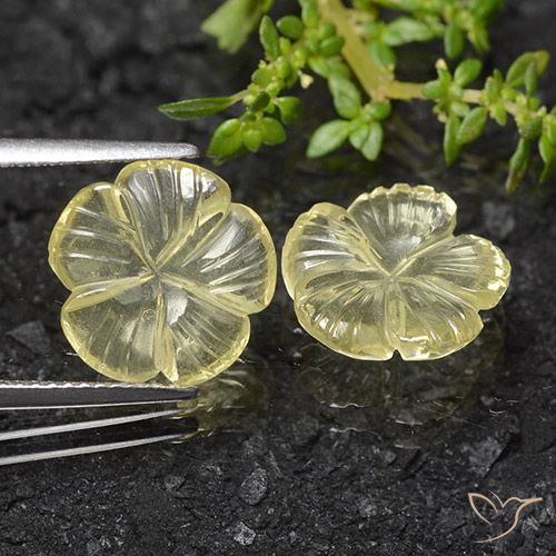 6.83ctw Naturale Giallo crema pallido Quarzo, Taglio a fiore, Trasparente
