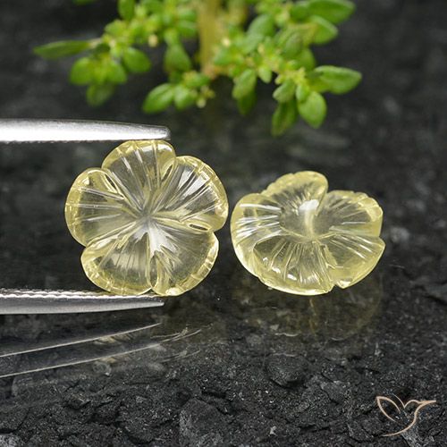 6.13ctw Naturale Giallo crema pallido Quarzo, Taglio a fiore, Trasparente