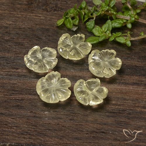 5.70ctw Naturale Giallo crema pallido Quarzo, Taglio a fiore, Trasparente