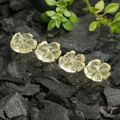 Gemme di Quarzo Giallo medio-chiaro naturale da 3.74 ct, Taglio a fiore, Trasparente
