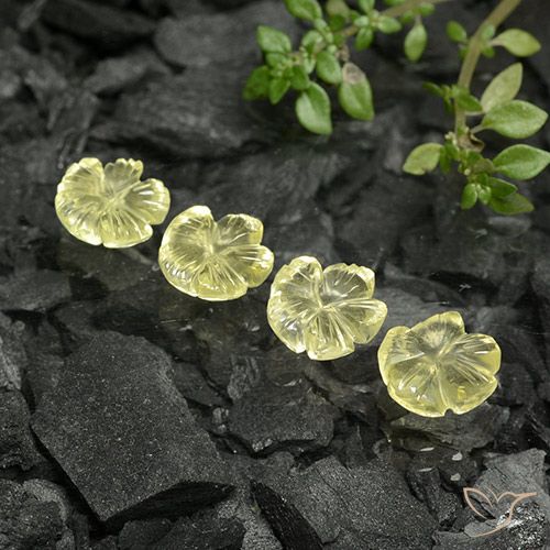 Gemme di Quarzo Giallo Ananas Chiaro naturale da 5.93 ct, Taglio a fiore, Trasparente