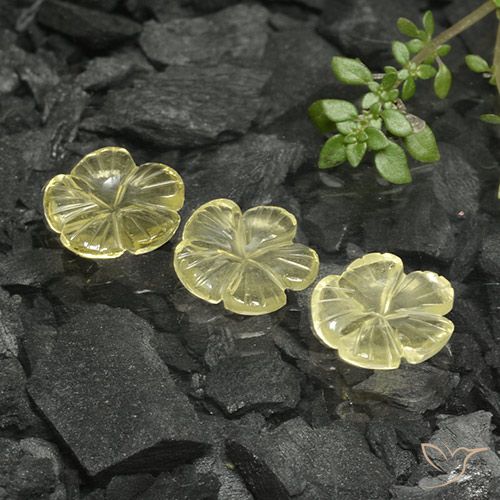 7.02ctw Naturale Giallo crema pallido Quarzo, Taglio a fiore, Trasparente