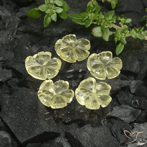 6.89ctw Naturale Giallo chiaro Quarzo, Taglio a fiore, Trasparente