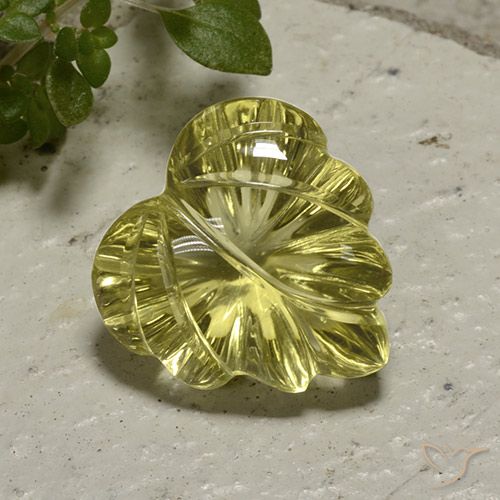 12.42ct Naturale Giallo medio Quarzo, Taglio a fiore, Trasparente