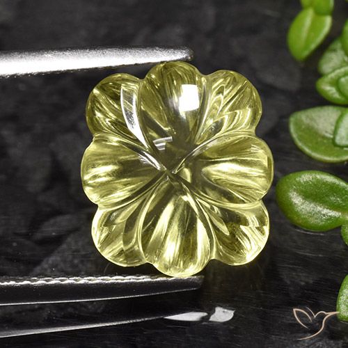 7.25ct Naturale Giallo mais chiaro Quarzo, Taglio a fiore, Trasparente
