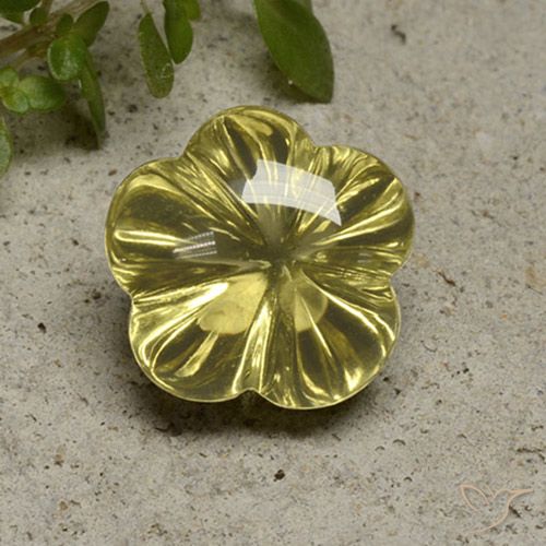 10.17ct Naturale Giallo pallido Quarzo, Taglio a fiore, Trasparente