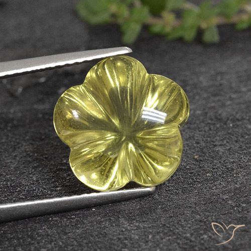 8.05ct Naturale Giallo medio Quarzo, Taglio a fiore, Trasparente