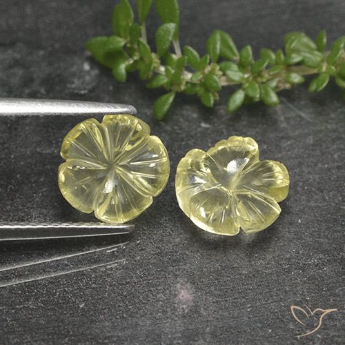 3.87ctw Naturale Giallo pallido Quarzo, Taglio a fiore, Trasparente
