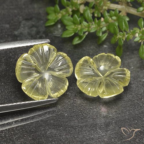 6.24ctw Naturale Limone giallo Quarzo, Taglio a fiore, Trasparente