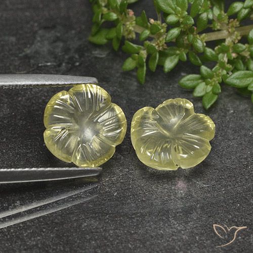 5.03ctw Naturale Giallo medio Quarzo, Taglio a fiore, Trasparente