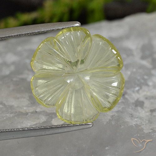 5.62ct Naturale Giallo Ananas Chiaro Quarzo, Taglio a fiore, Trasparente